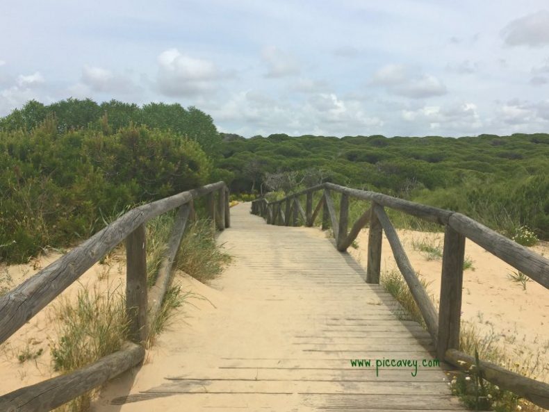 Beach on Costa Ballena