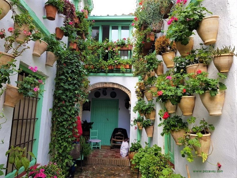 Cordoba Patios & the Palacio de Viana Pretty corners of Spain