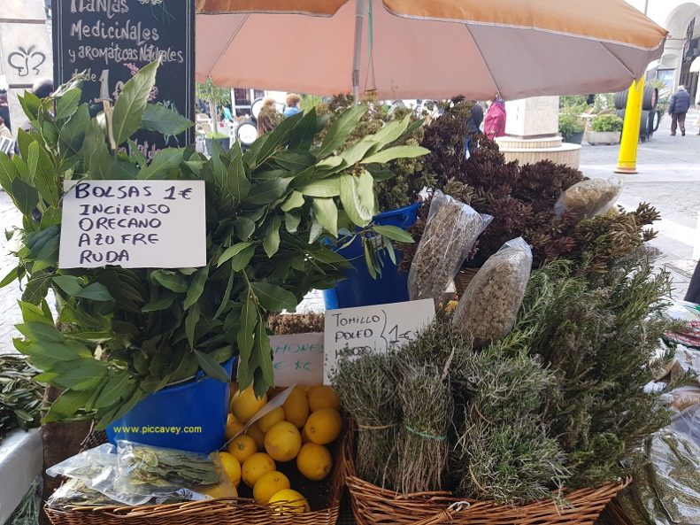 Fresh herbs jerez rosemary thyme