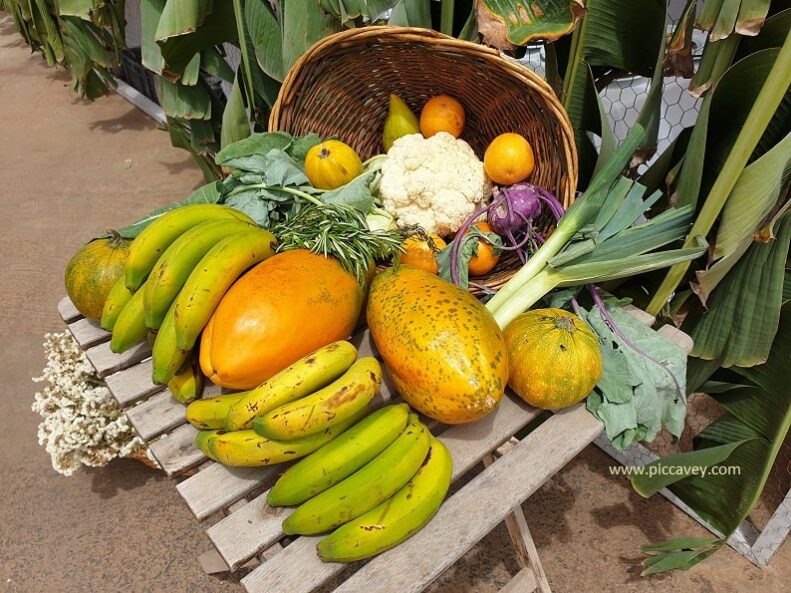 Tenerife Food Guide Best Local Dishes in the Canary Islands ⋆ Piccavey