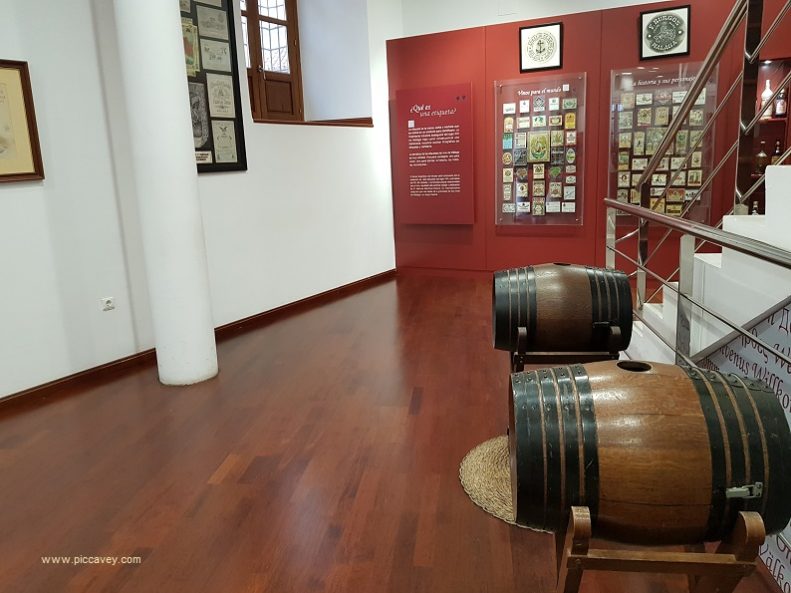 Discovering Local Wines + Raisins at Malaga Wine Museum ⋆ Piccavey