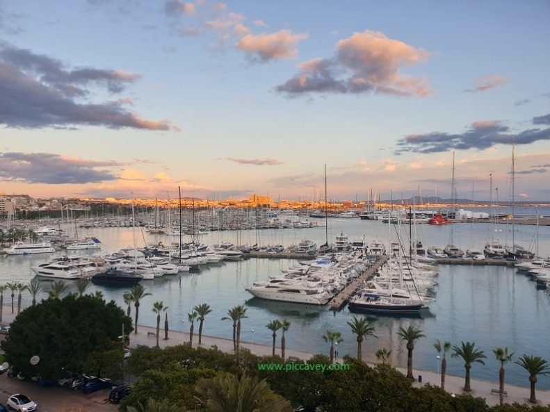 Marina Harbour in Palma de Mallorca Spain