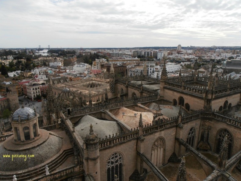 Seville Cathedral from above