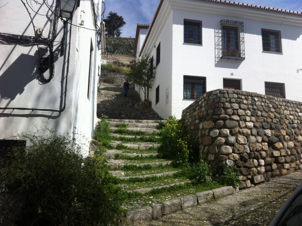 Templo del Flamenco Granada Spain