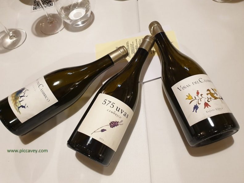 Wines from Salamanca Spain Rufete