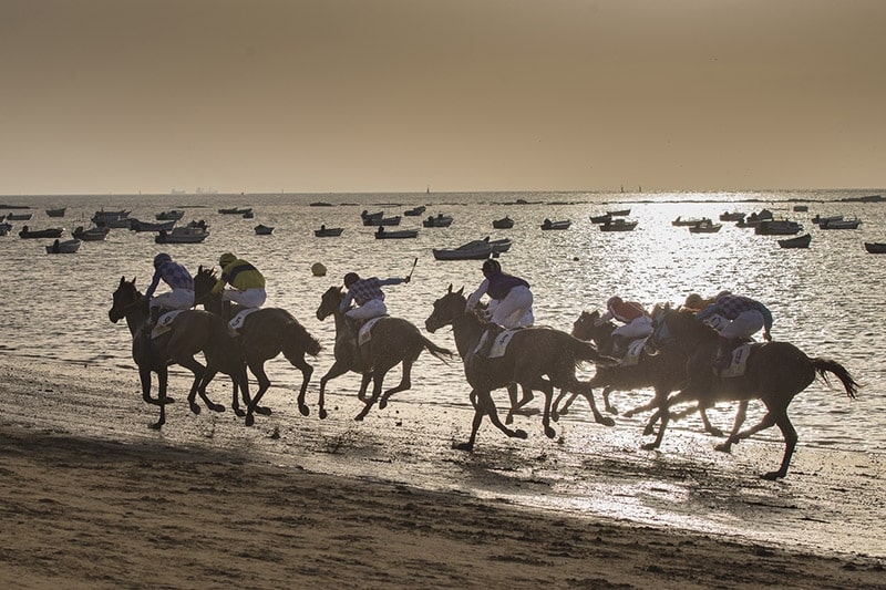 The Best Places For Spanish Horse Racing Traditions Piccavey
